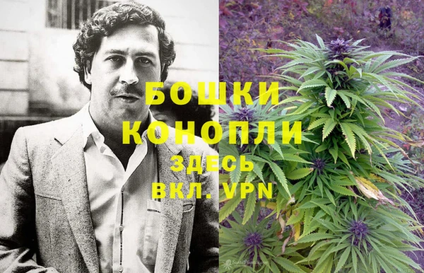 ГАЛЛЮЦИНОГЕННЫЕ ГРИБЫ Михайлов