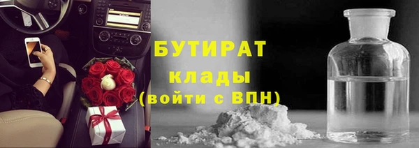 ГАЛЛЮЦИНОГЕННЫЕ ГРИБЫ Михайлов