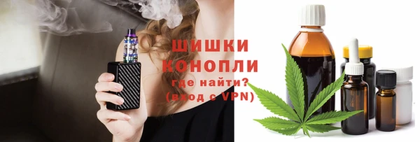 молекула духа Долгопрудный