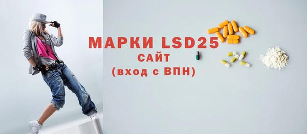 ГАЛЛЮЦИНОГЕННЫЕ ГРИБЫ Михайлов