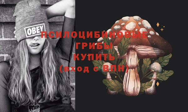 твердый Михайловка