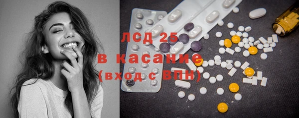ГАЛЛЮЦИНОГЕННЫЕ ГРИБЫ Михайлов