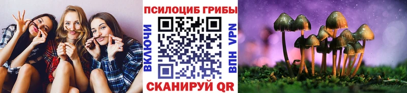 Галлюциногенные грибы GOLDEN TEACHER  Нерчинск 